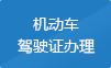 机动车驾驶证办理